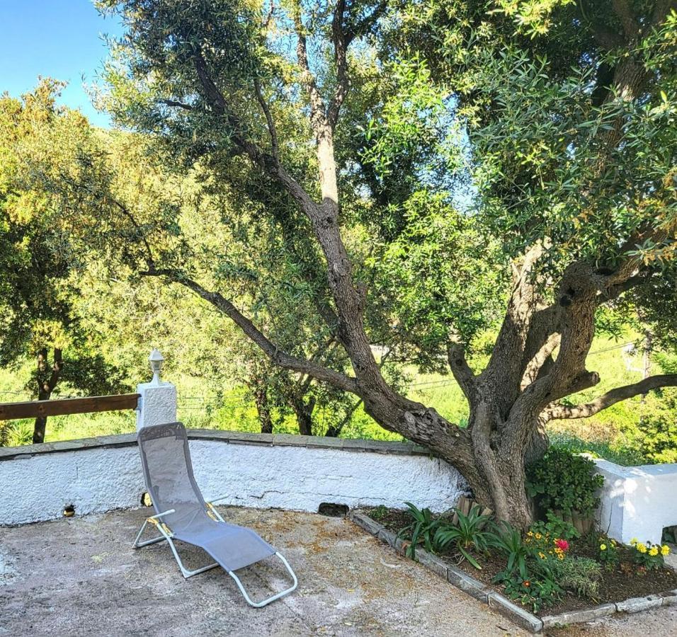 Cap Corse Une Villa Dans Un Nid De Verdure San-Martino-di-Lota Buitenkant foto